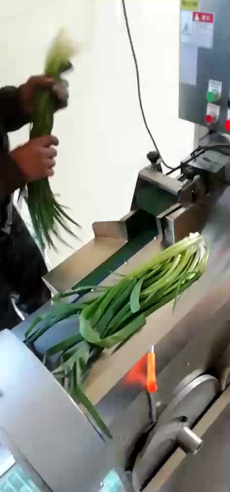 切菜机根茎类叶菜类切末切断切片